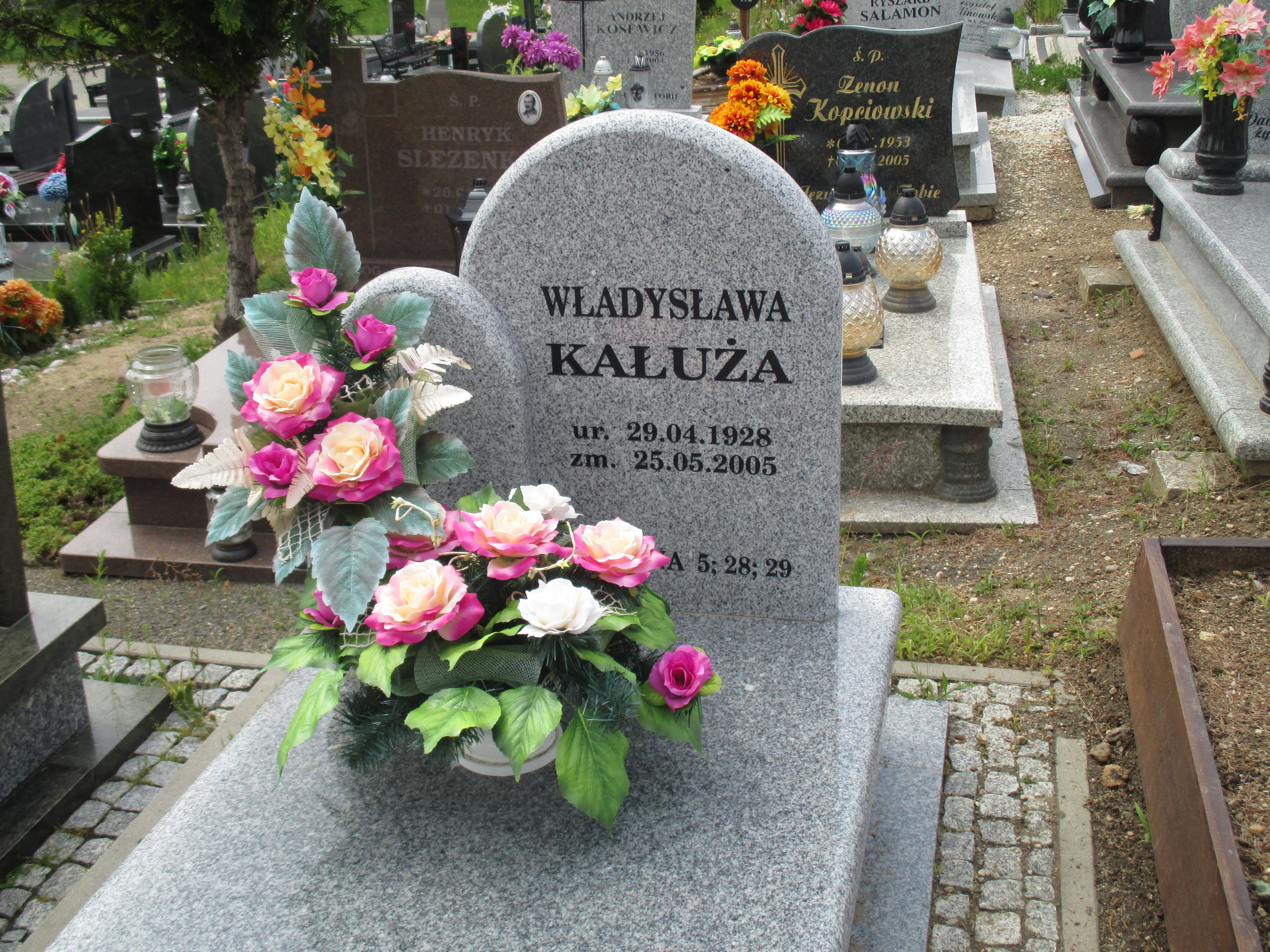 Władysława Kałuża 1928 Zawidów - Grobonet - Wyszukiwarka osób pochowanych